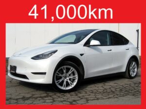 Tesla Model Y LONG RANGE+AWD+TESLA WARR 2030
