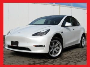 Tesla Model Y LONG RANGE+AWD+TESLA WARR 2030